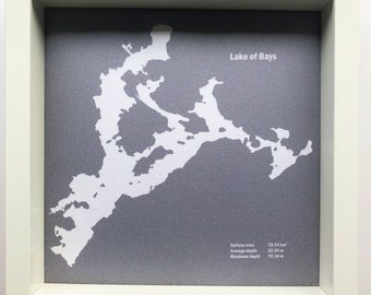 Lake Of Bays Push Pin Map