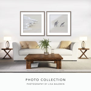 Photo Collection - Square Version Sandpipers in the Ebb and Flow Coastal Beach Wall Art - 15% OFF Set of Two Prints