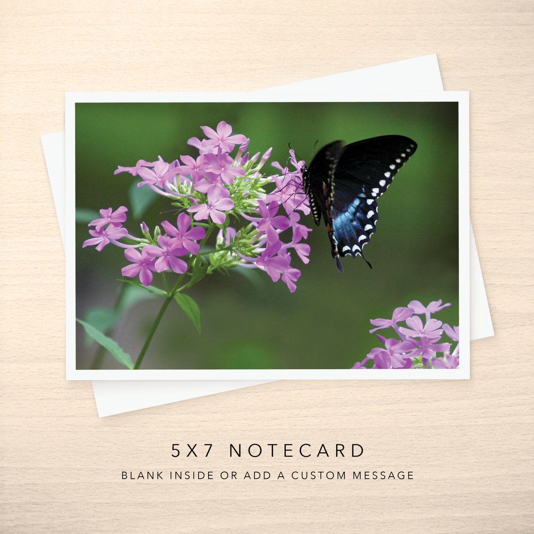 5x7 Note Card - Blank or With Custom Text Inside - Black Pipevine ...