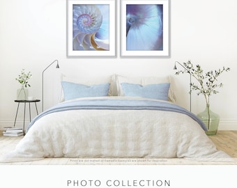 Hermosa colección de fotografías iridiscentes de Nautilus Shell - Pearl Nautilus - 15% de descuento en conjunto de dos impresiones