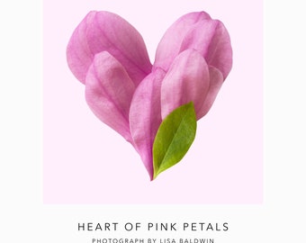 Romantic Heart of Pink Petals Photo - Botanical Flower Photography Square Print