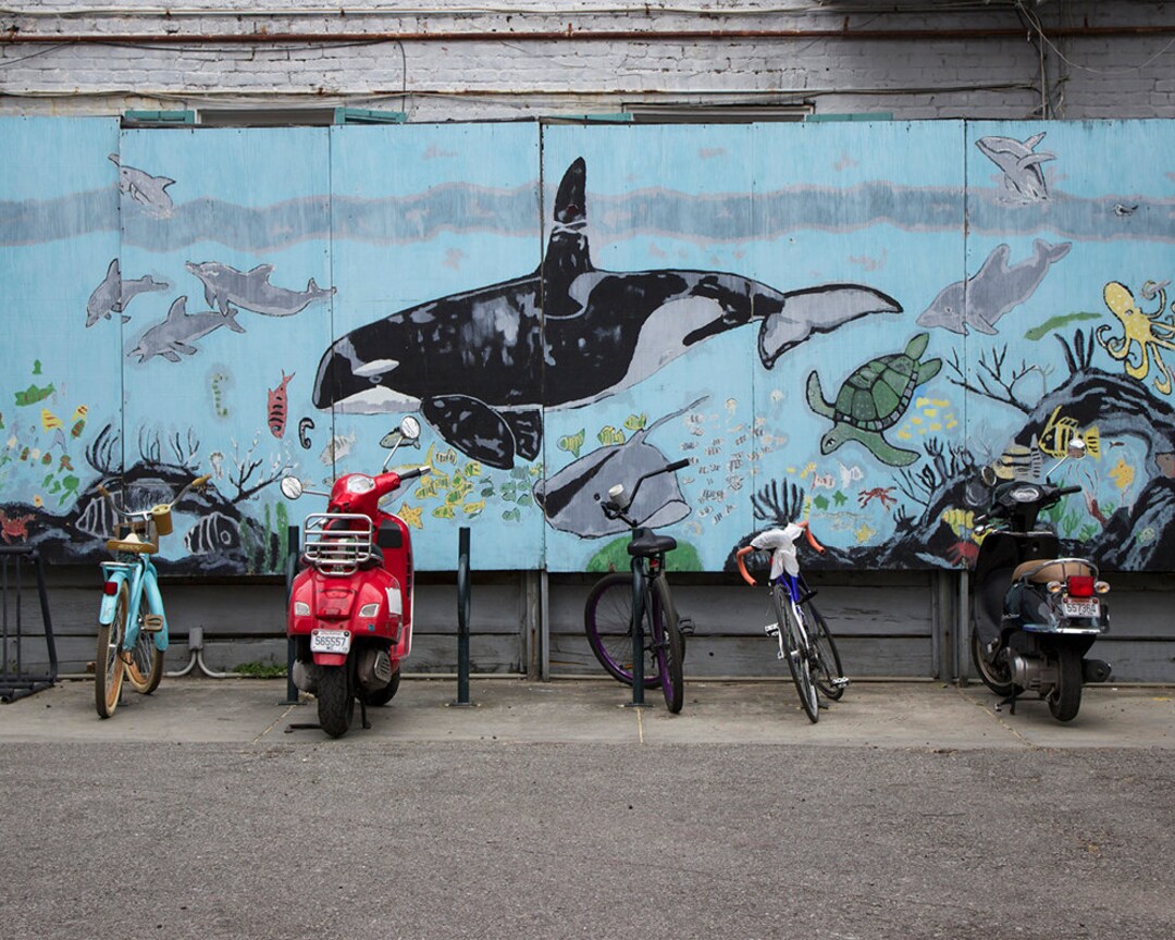 Free Wheelin' Whale Urban New Orleans Ocean Mural With Etsy