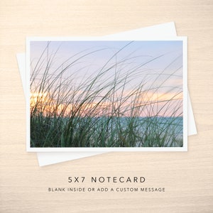 May include: A 5x7 notecard featuring a photograph of tall green grass blowing in the wind against a soft pink and purple sunset sky. The card is blank inside, allowing for a personalized message.