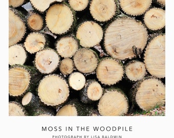 Rustic Stacked Woodpile Photo - Moss Covered Cut Wood Logs - Natural Texture Art Print