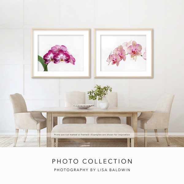 Set of Orchid Prints - Gorgeous Spotted and Striped Pink and Red Violet Orchids - Photo Collection - 15% OFF Set of Two Prints