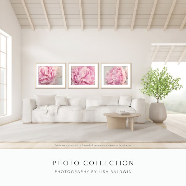 Pink Peony Photo Collection -  20% OFF Set of Three Prints