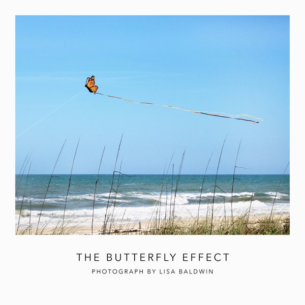 Butterfly Kite on the Beach - Optical Illusion of Monarch Butterfly in the Grass - Whimsical Photo