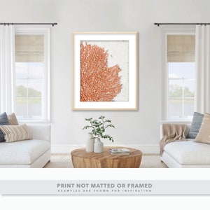 Photo of a Lacey Coral Orange Sea Fan in the Sand Coastal Beach House Ocean Decor image 7