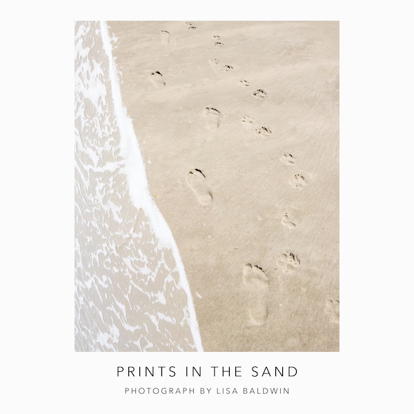 Photo of Footprints Alongside Dog's Paw Prints in the Sand  - Best Friends Out for a Walk on the Beach