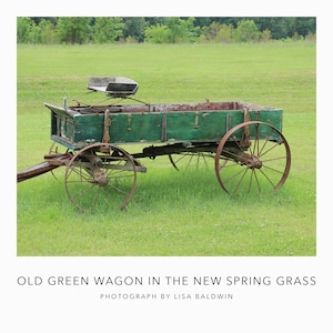 Old Horse Drawn Farm Wagon with Rusted Metal Wheels and Worn Faded Paint in Bright Spring Grass - Rustic Rural Photo