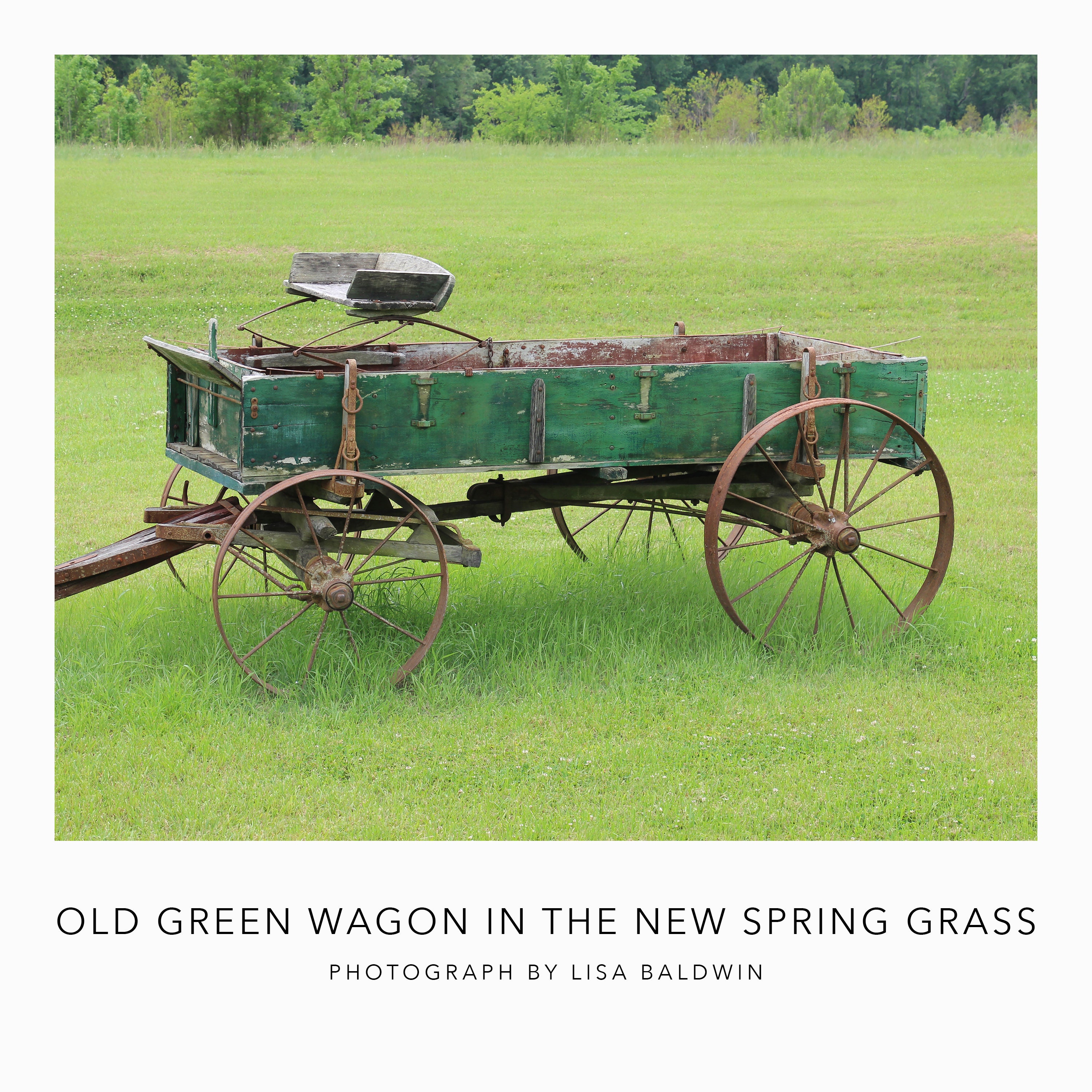Old Horse Drawn Farm Wagon with Rusted Metal Wheels and Worn Faded Paint in Bright Spring Grass - Rustic Rural Photo