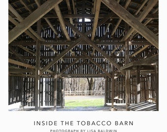 Sun Coming Through the Slats Inside an Old Tobacco Barn - Rustic Rural Photo - Country Farmhouse Scene