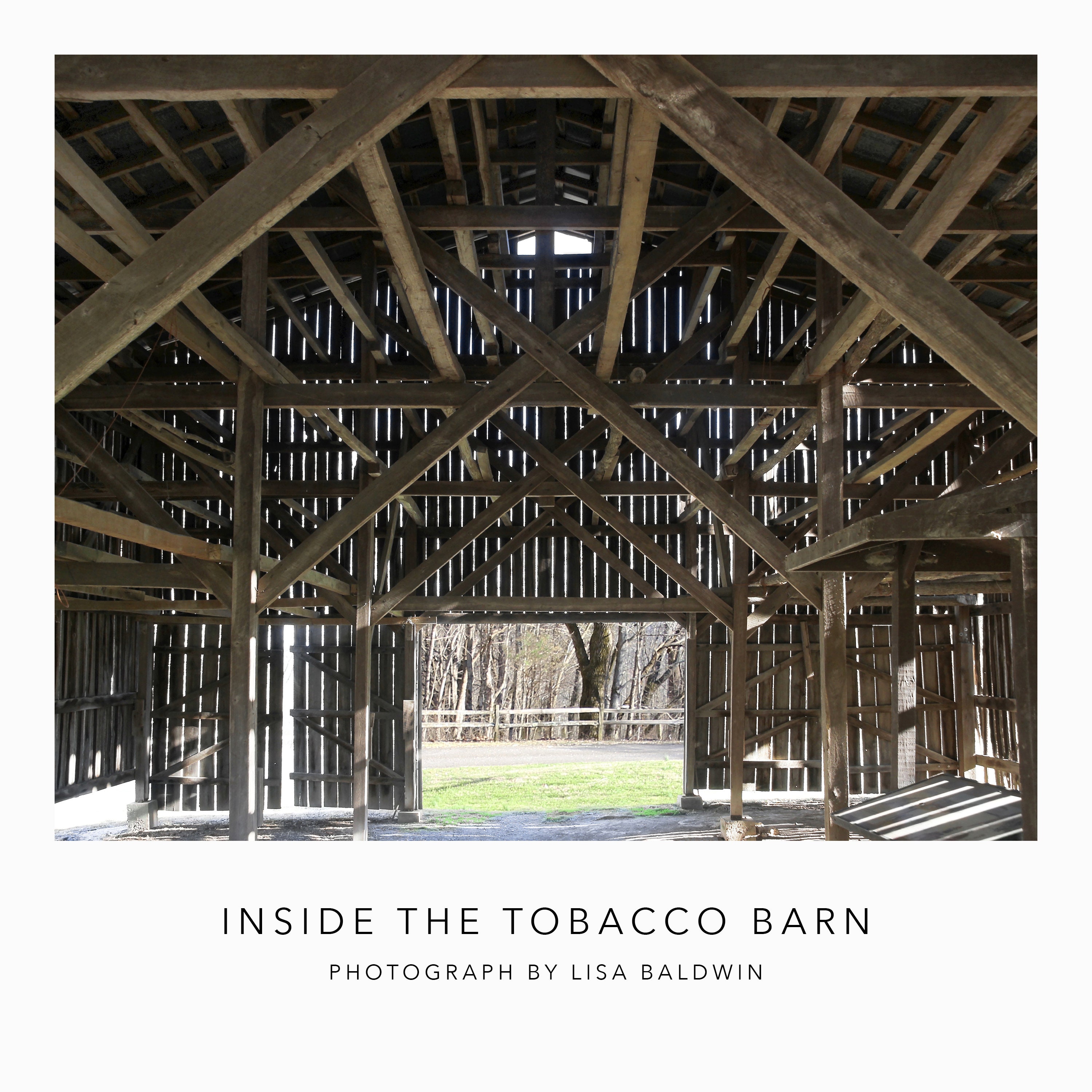 Sun Coming Through the Slats Inside an Old Tobacco Barn - Rustic Rural  Photo - Country Farmhouse Scene