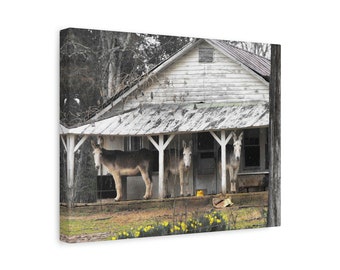 Lienzo decorativo de burro - Mulas en el porche - Foto divertida de animales - Decoración rústica de granja sureña