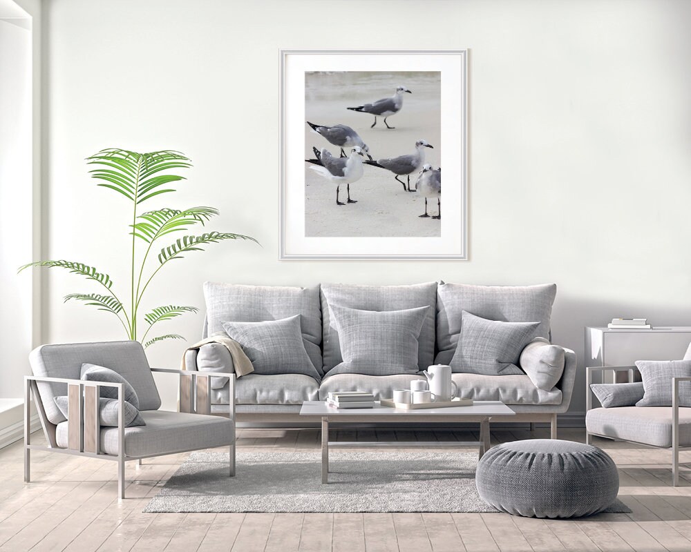 A Gathering of Gulls Nature Photo Coastal Decor Sea Bird - Etsy