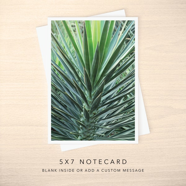 5x7 Note Card - Blank or with Custom Text Inside - Close up of Spiky Yucca Plant Photo Greeting Cards w/ Envelope - Any Occasion