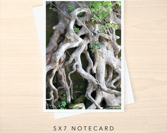 5x7 Note Card - Blank or with Custom Text Inside - Textural Woodland Gnarled Roots Photo Greeting Cards w/ Envelope - Any Occasion