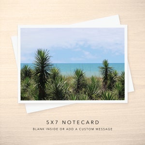 May include: A 5x7 notecard featuring a photograph of a beach scene with a row of green palm trees in the foreground and a blue ocean and sky in the background.