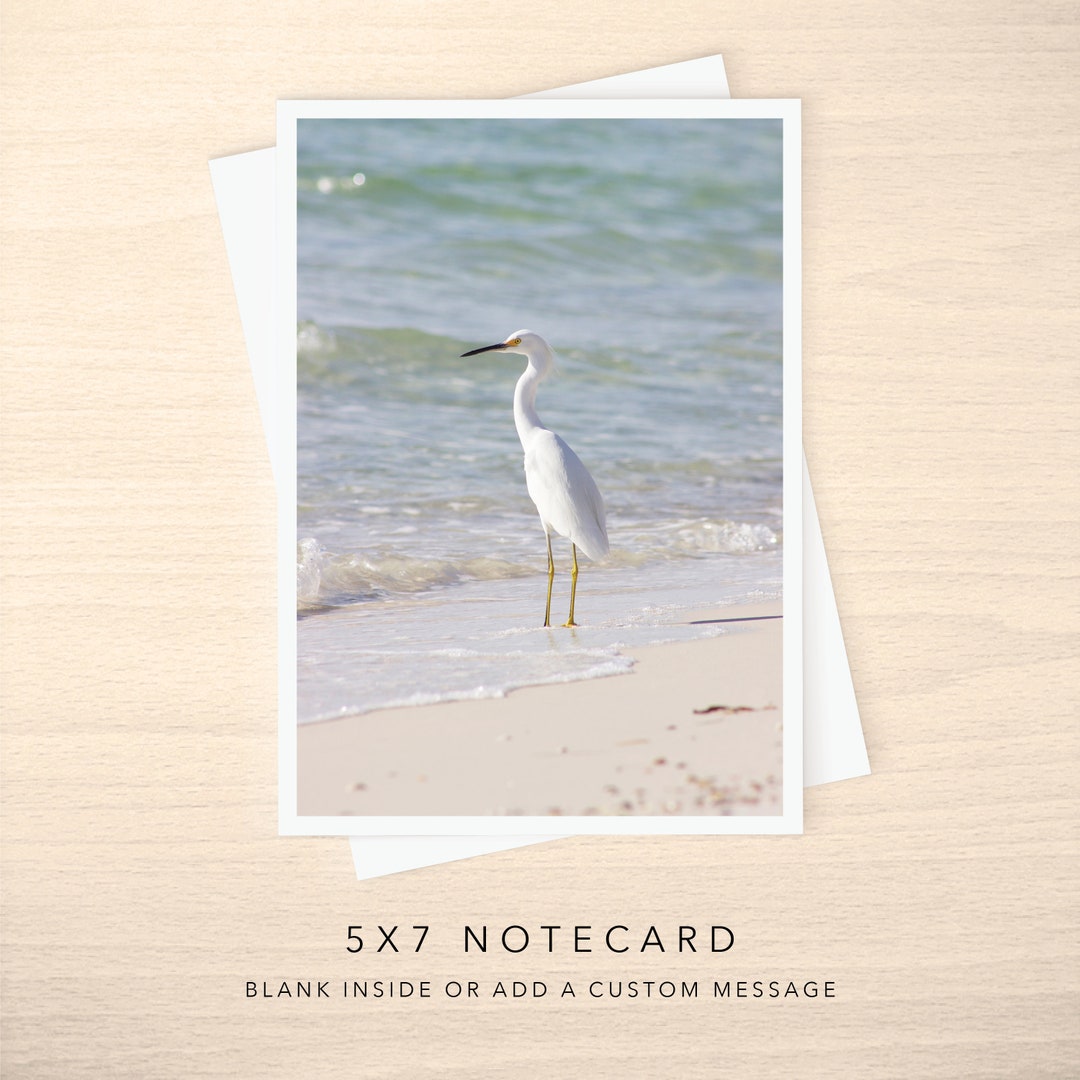 5x7 Note Card - Blank or With Custom Text Inside - Snowy Egret by the ...