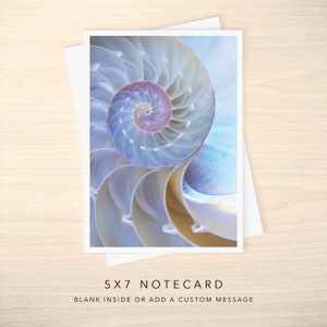 5x7 Note Card - Blank or with Custom Text Inside - Iridescent Chambered Nautilus Sea Shell Photo Greeting Cards w/ Envelope - Any Occasion
