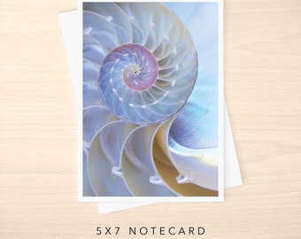 5x7 Note Card - Blank or with Custom Text Inside - Iridescent Chambered Nautilus Sea Shell Photo Greeting Cards w/ Envelope - Any Occasion