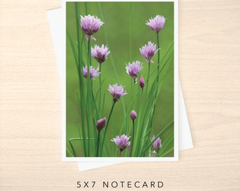 5x7 Note Card - Blank or with Custom Text Inside - Chives in Bloom Photo Greeting Cards w/ Envelope - Any Occasion