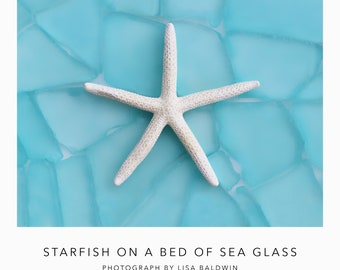 Bright White Starfish on a Bed of Smooth Aqua Sea Glass Photo - Ocean Beach Nature Photography