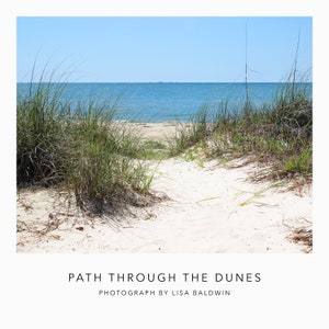 Sandy Path through the Dunes to the Beach - Nature Photo - Sand Dunes at the Ocean
