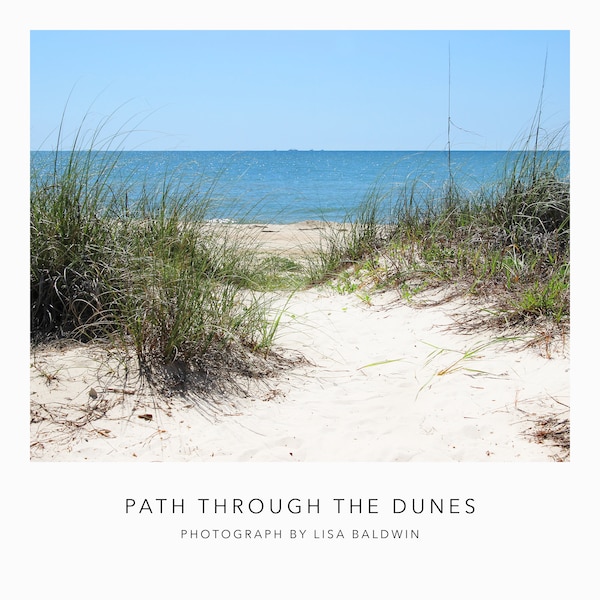 Sandy Path through the Dunes to the Beach - Nature Photo - Sand Dunes at the Ocean