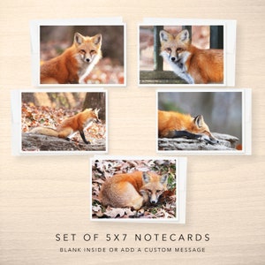 May include: Set of five 5x7 notecards featuring close-up photos of red foxes in a woodland setting. The notecards are blank inside and can be used for personal messages.