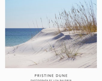 Pristine Sand Dune with Sugar White Sand and Sea Grass - Nature Photo - Quintessential Sand Dune