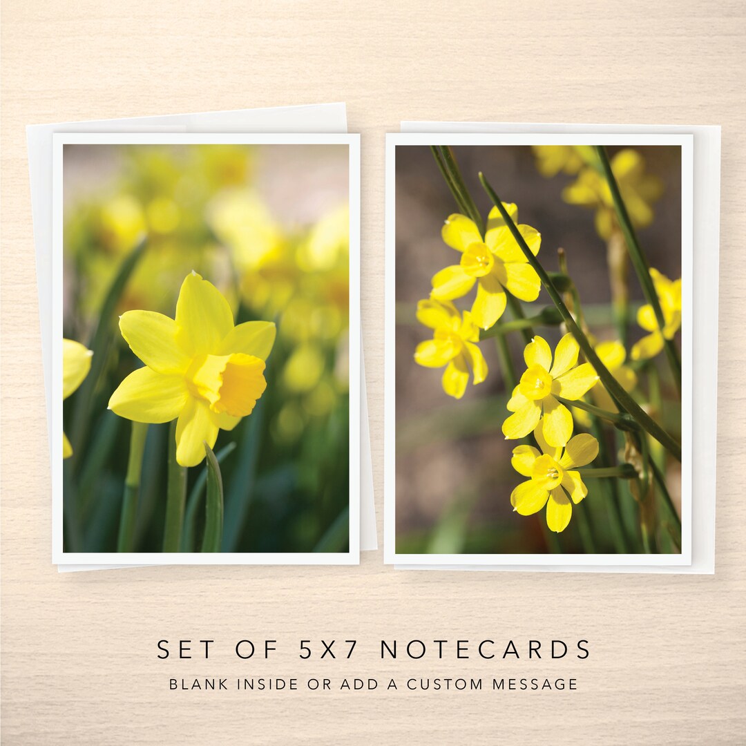 Set of 2 - 5x7 Note Cards - Blank or With Custom Text Inside - Bright ...