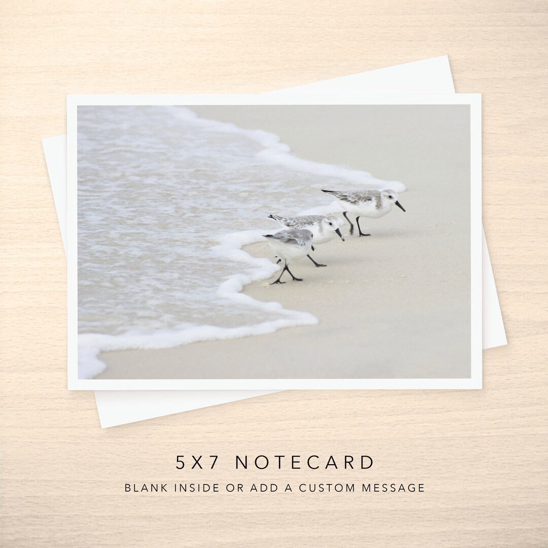 5x7 Note Card - Blank or With Custom Text Inside - Sandpipers by the ...