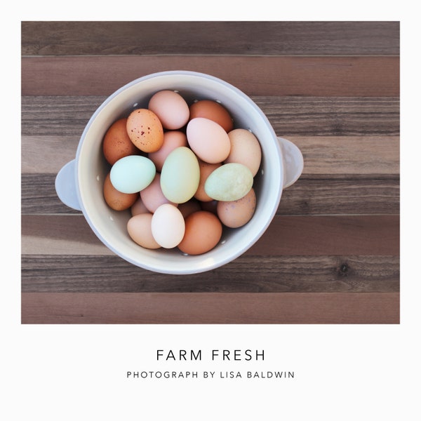 Photo of Beautiful Farm Eggs in Different Colors - Blue Green Tan Brown and Speckled - Food Photography - Dining Room Kitchen Wall Art