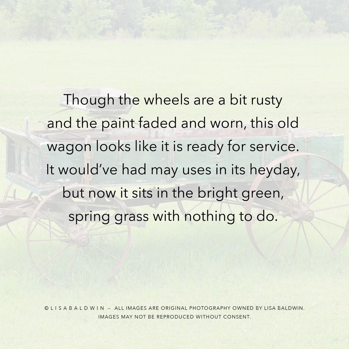 Old Horse Drawn Farm Wagon With Rusted Metal Wheels and Worn Faded ...