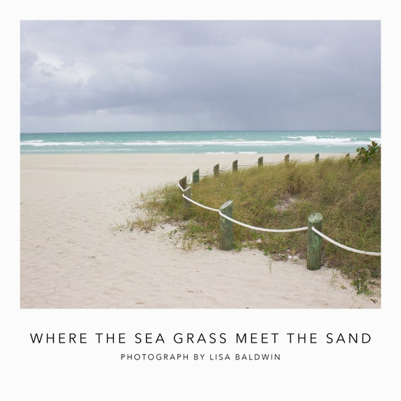 Where the Sea Grass Meets the Sand Beach With Sea Oats and Post