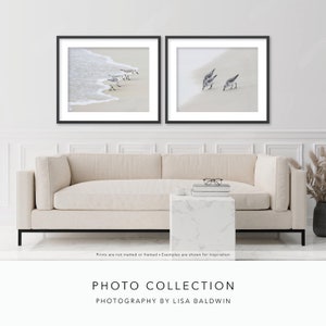 May include: Two framed photographs of sandpipers on a beach. The first photo shows a group of sandpipers walking on the sand near the water's edge. The second photo shows two sandpipers walking on the sand.
