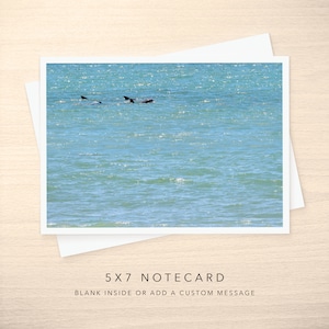 5x7 Note Card - Blank or with Custom Text Inside - Dolphin in the Distance of an Aqua Ocean Photo Greeting Cards w/ Envelope - Any Occasion