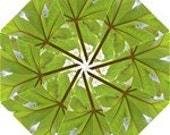 Umbrella Designed Featuring My Photo of a tree. 41" Span. Temporarily only available as a manual umbrella.