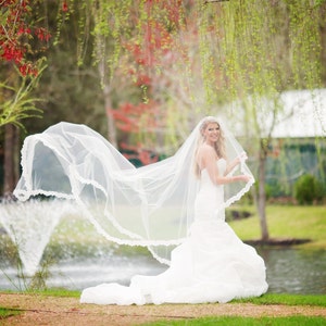 Lace Drop Veil