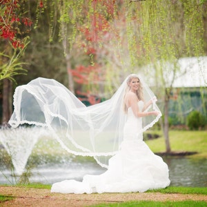 Lace Drop Veil image 1