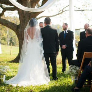 Beautiful Lace Drop Veil image 8