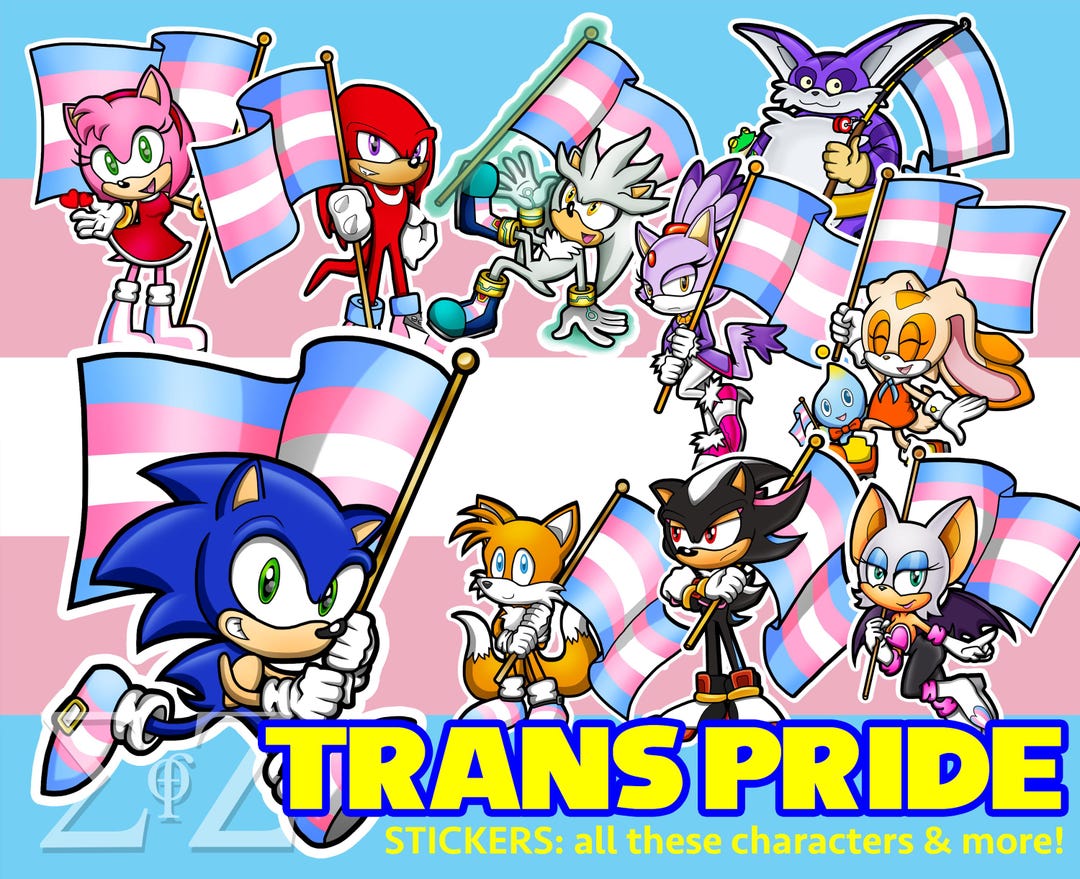 Trans Pride Sonic the Hedgehog Flag Vinyl Stickers Transgender Choose ...