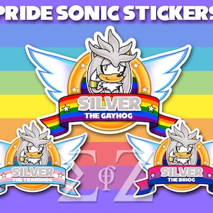 LGBT Silver the Hedgehog Title Screen Stickers - Water Resistant Vinyl 4&quot; Long Sonic - Gay Bi Trans Pan Ace NB