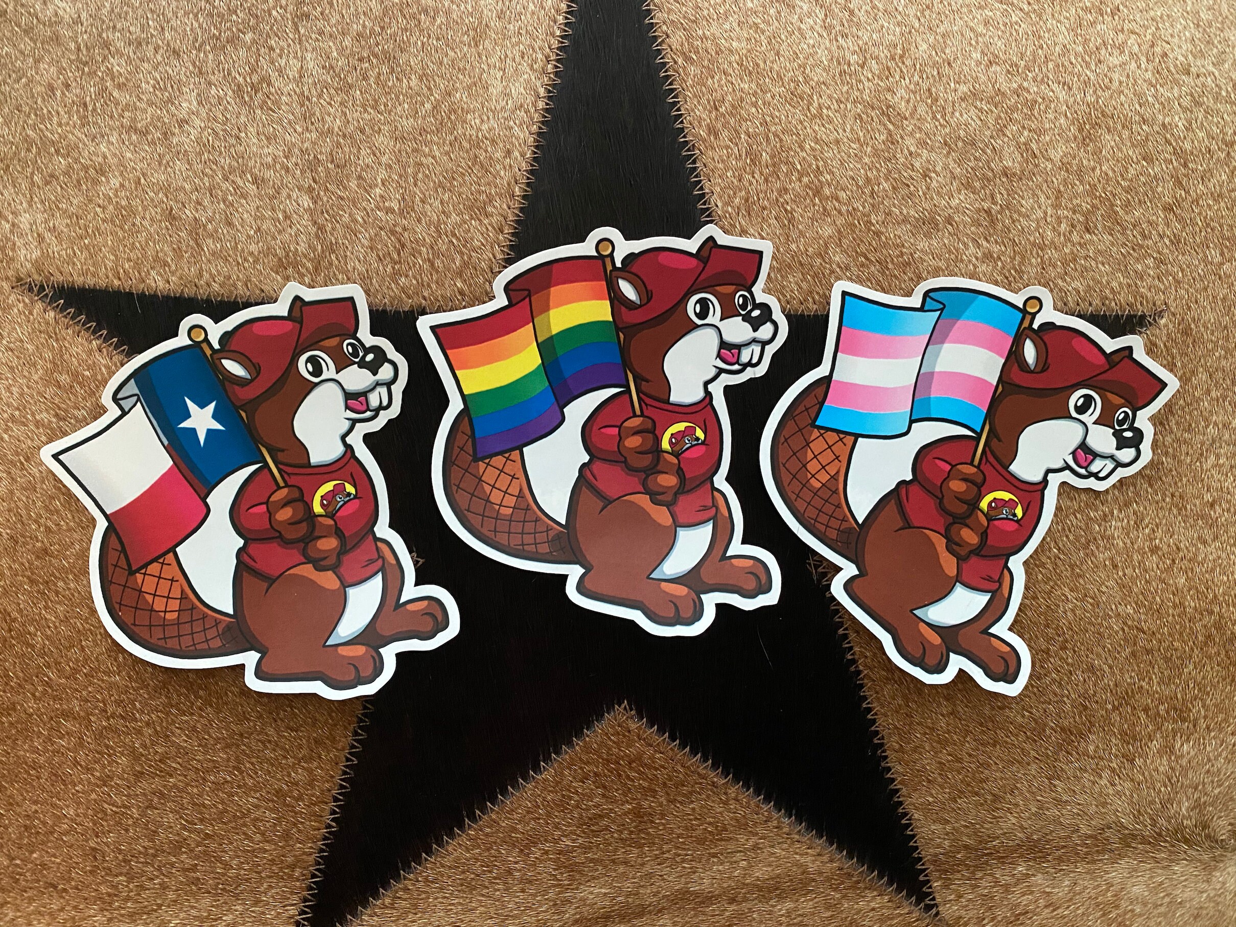 BUC-EE’S Vinyl Sticker With Pride Flag Gay Transgender | Etsy UK
