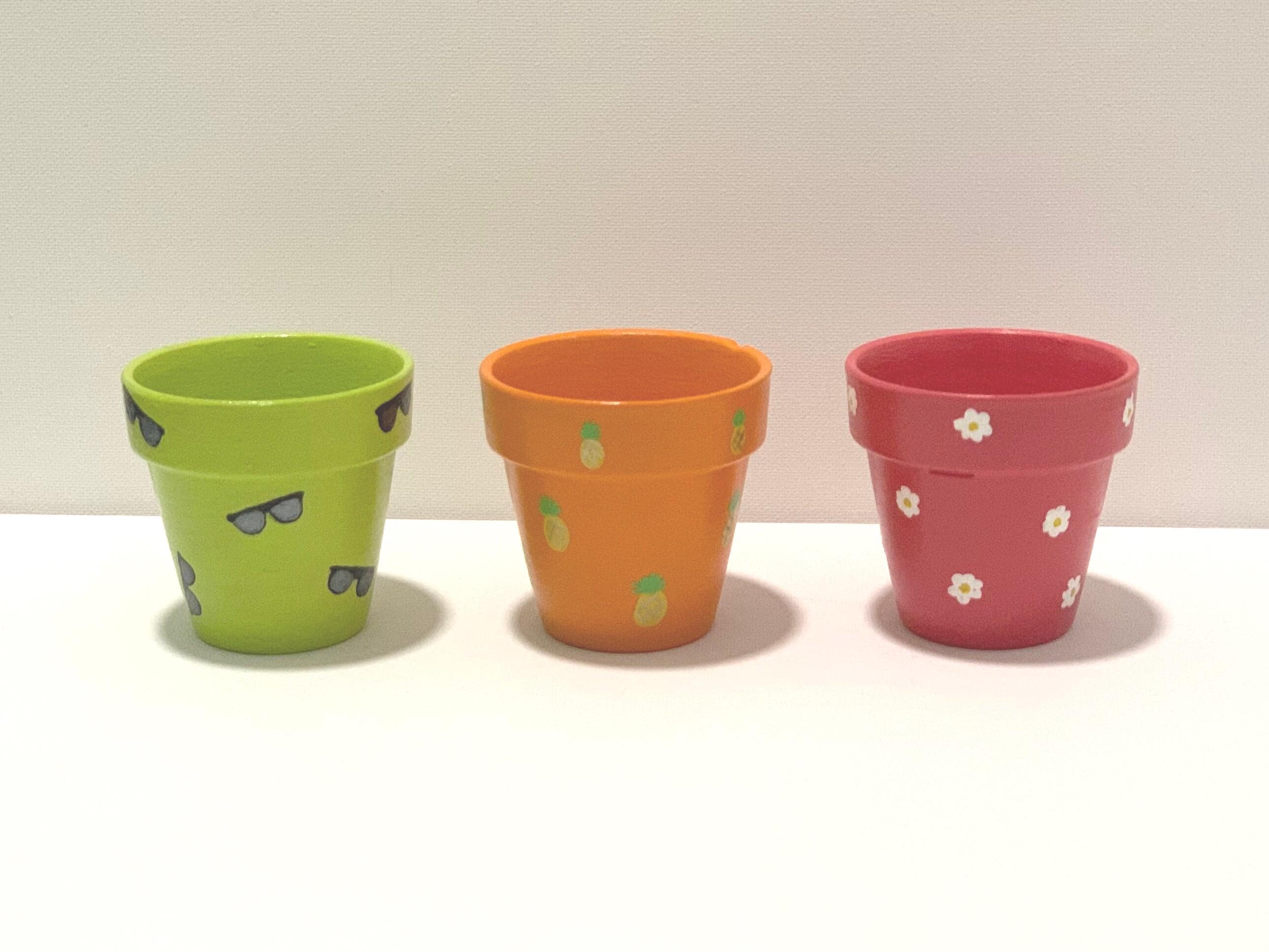 Mini Flower Pot Trio