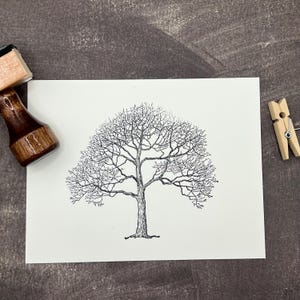 Baum Hand gestempelt Klappkarten mit Umschlägen | Blanko Klappkarten | Set mit 8 Karten - Bunt/Schwarz