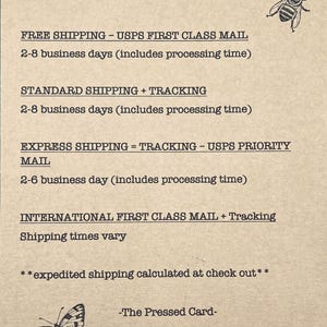 May include: A beige paper displaying "SHIPPING OPTIONS" in bold text. The text details various shipping methods, such as "FREE SHIPPING" and "EXPRESS SHIPPING". Illustrations of a bee and a butterfly are included.