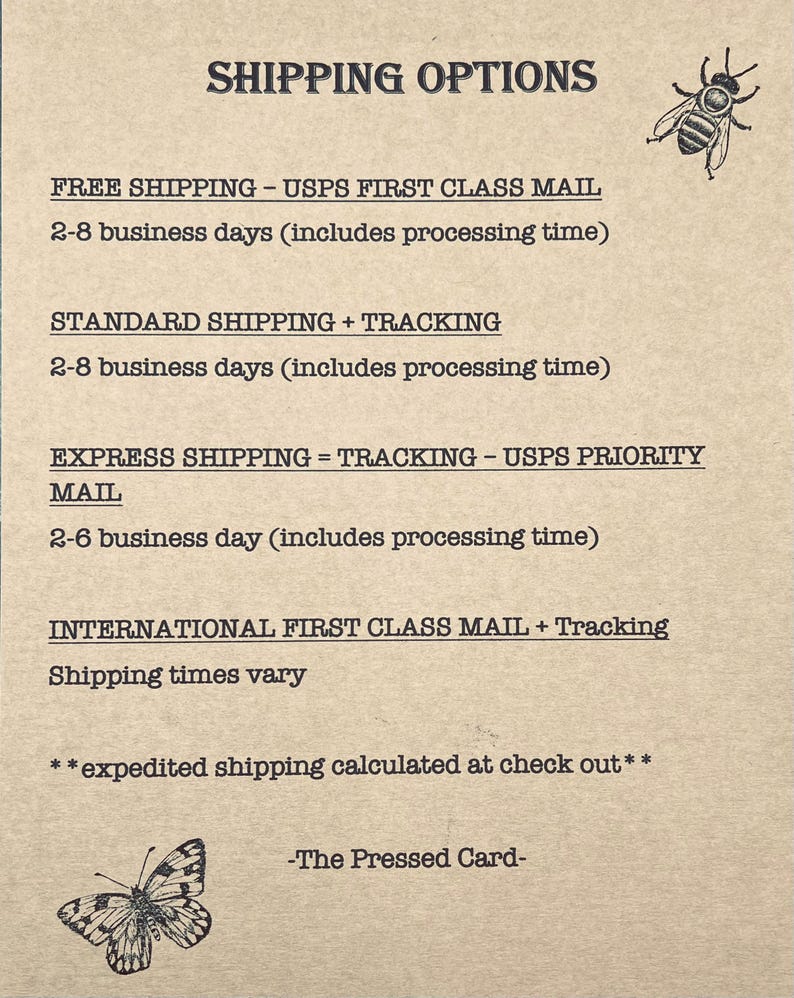 May include: A beige paper displaying "SHIPPING OPTIONS" in bold text. The text details various shipping methods, such as "FREE SHIPPING" and "EXPRESS SHIPPING". Illustrations of a bee and a butterfly are included.