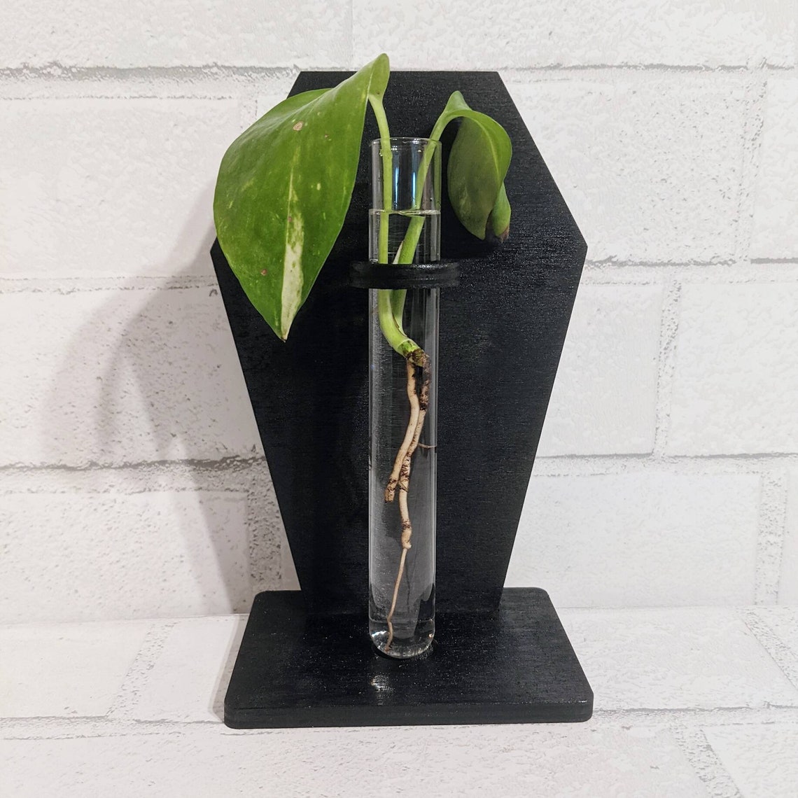 Coffin Propagation Stand Plant Stand Etsy